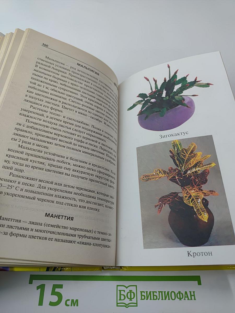 Комнатное цветоводство