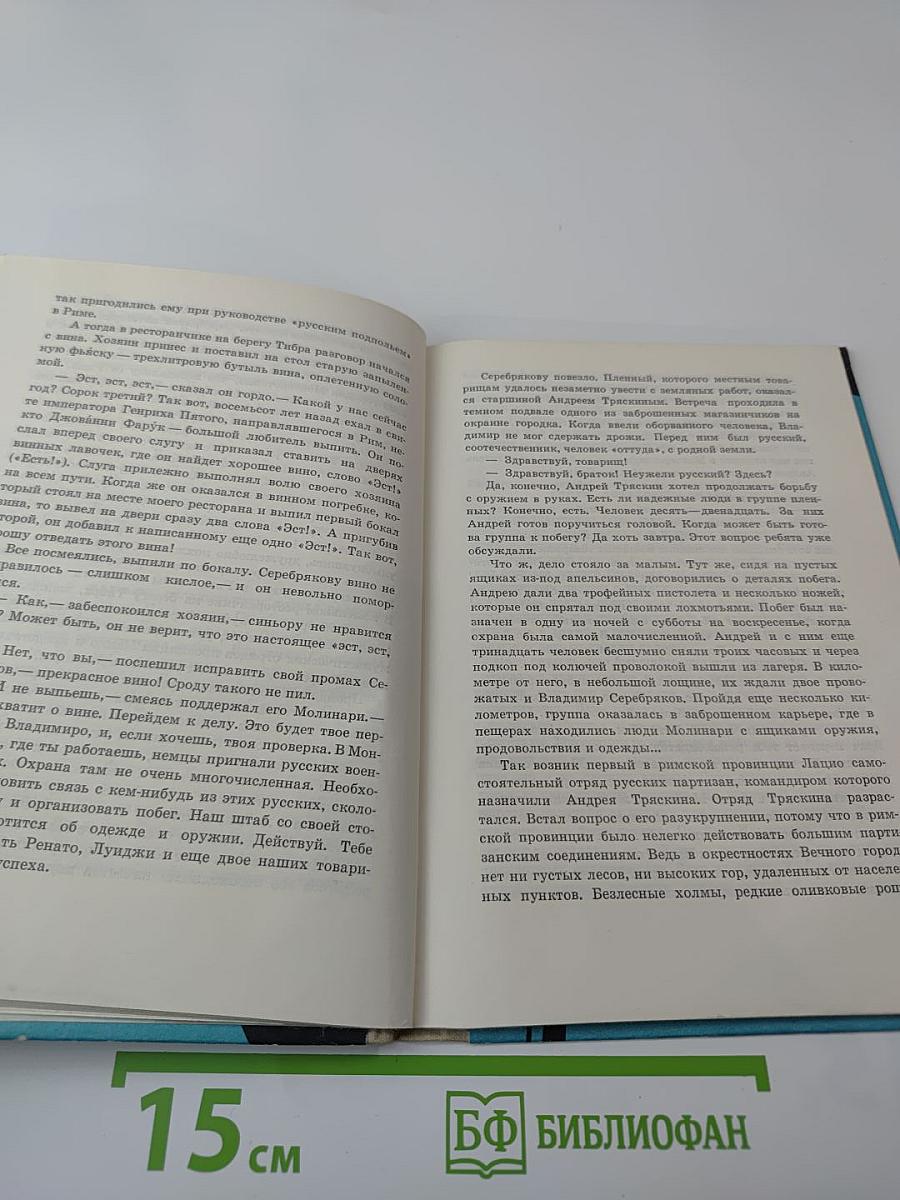 Незнакомец в черной сутане