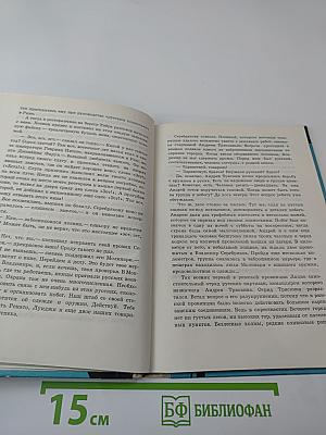 Незнакомец в черной сутане