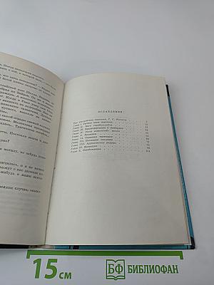 Незнакомец в черной сутане