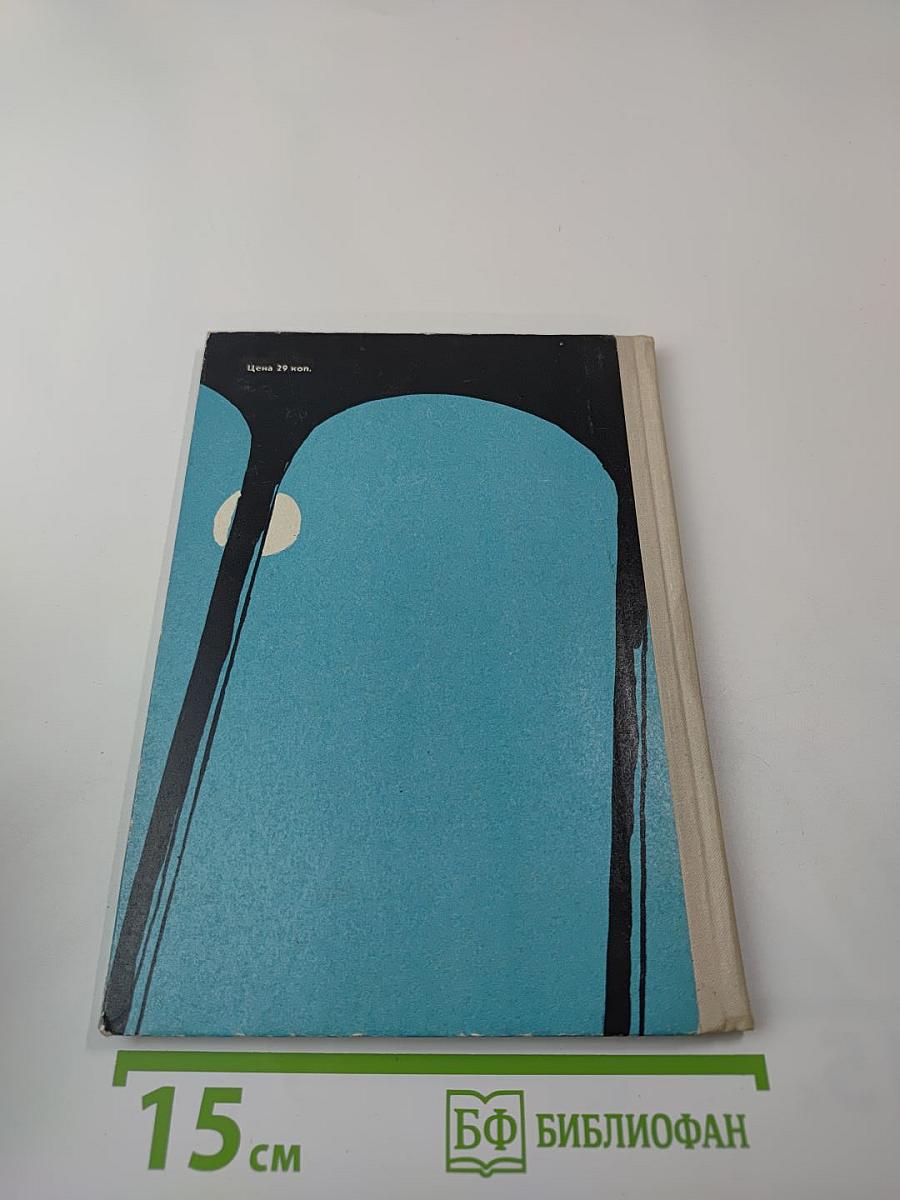 Незнакомец в черной сутане