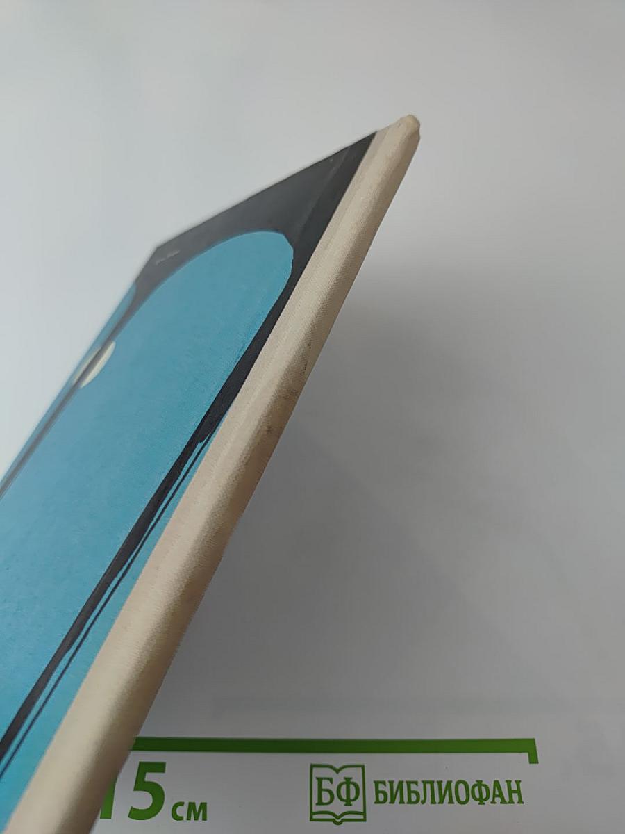 Незнакомец в черной сутане