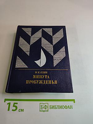 Минута пробужденья