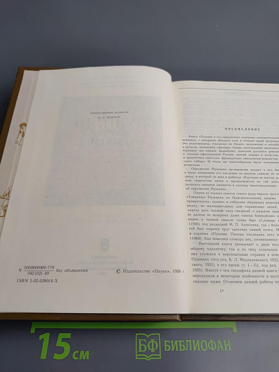 Пушкин и его окружение