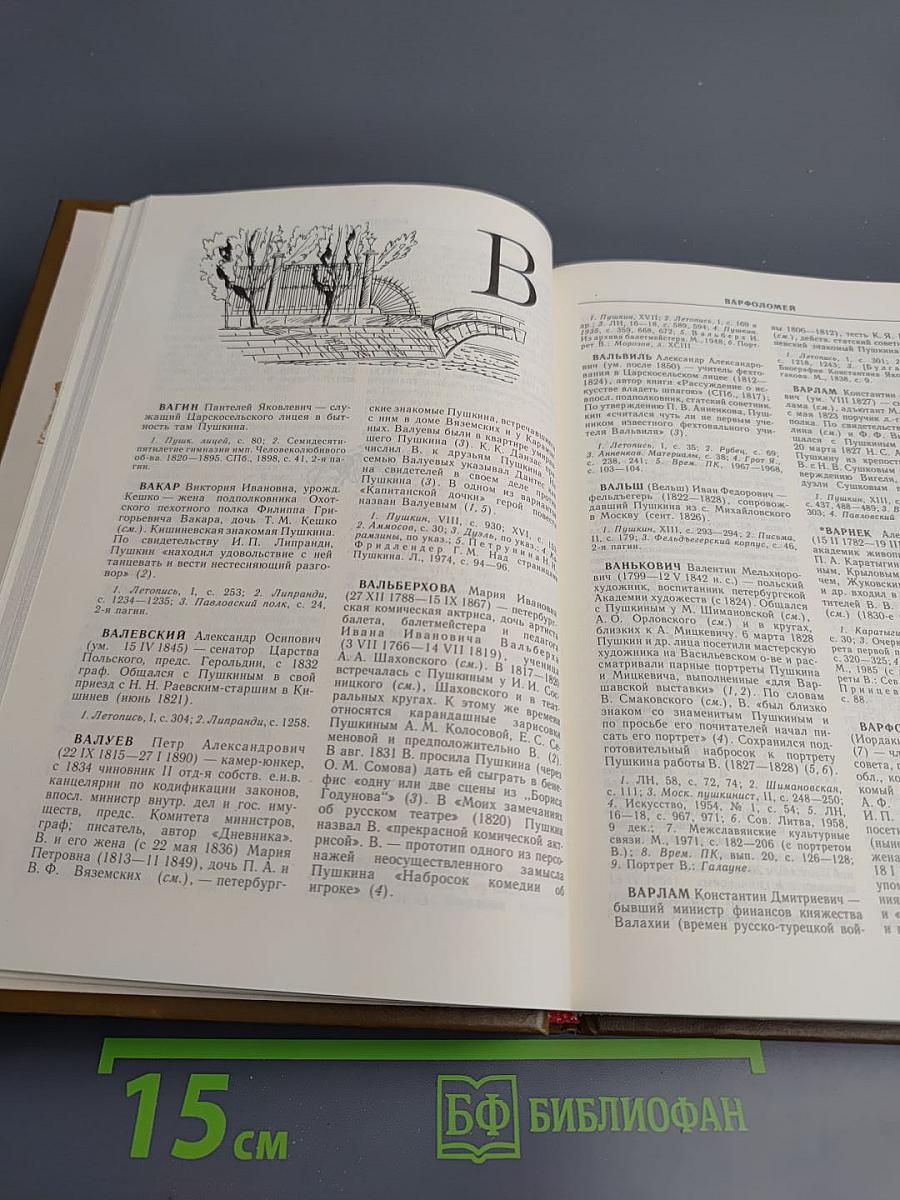 Пушкин и его окружение