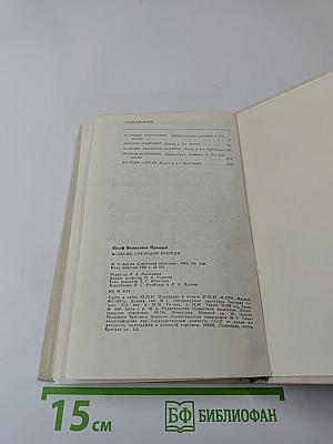 Всадник, скачущий впереди