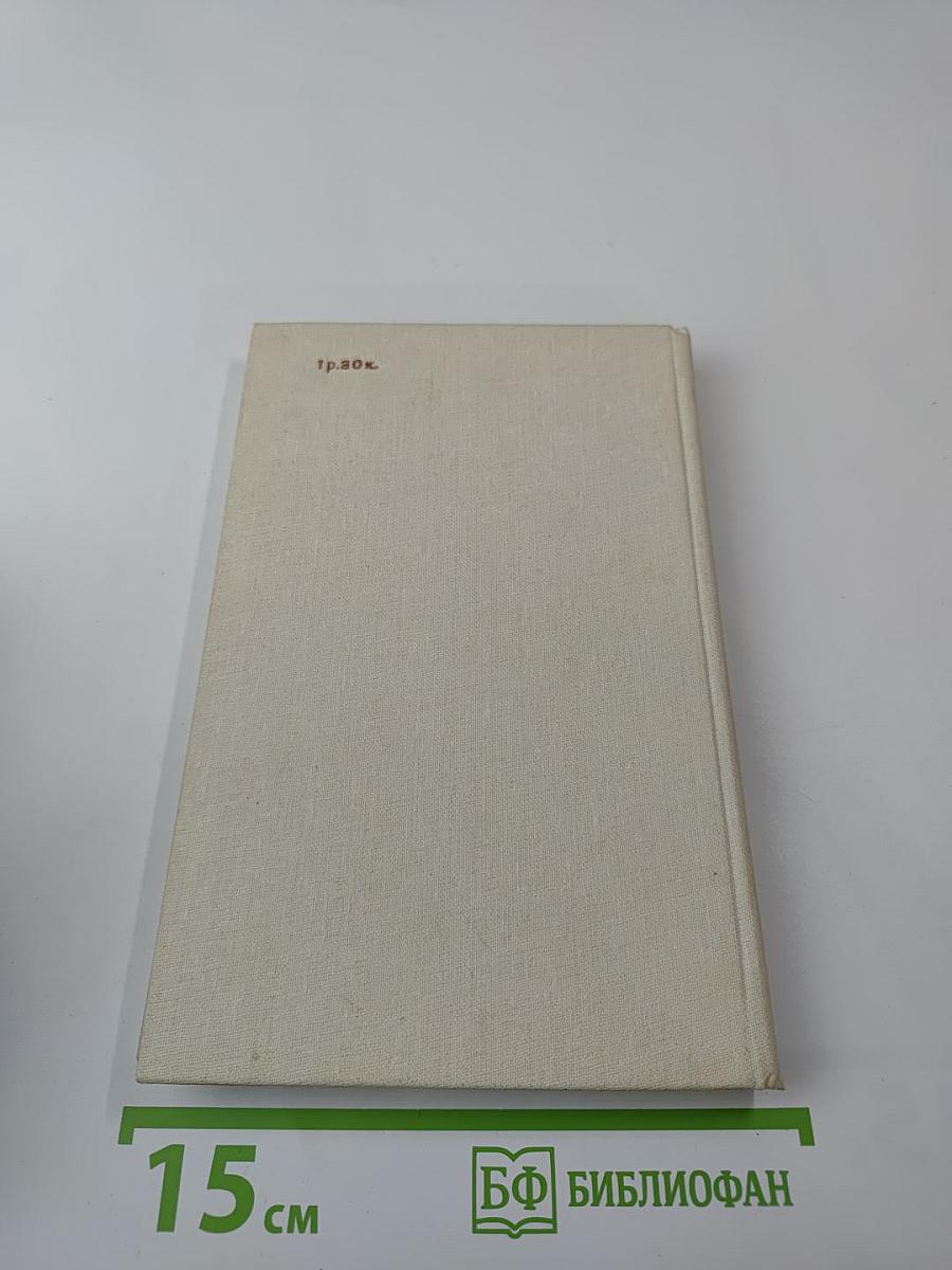 Всадник, скачущий впереди