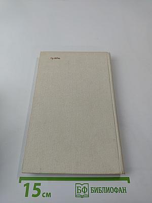 Всадник, скачущий впереди