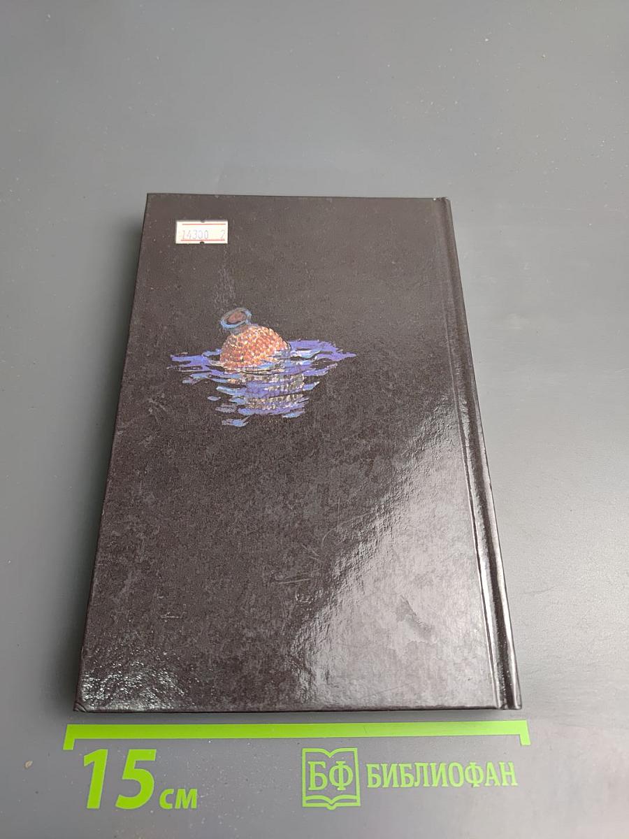 Человек, который смеется. Том II