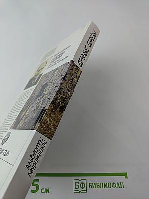 Вечные березы. Книга для чтения с комментарием на испанском языке