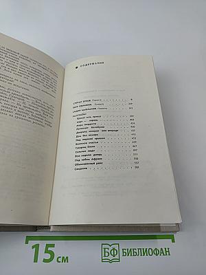 Особое подразделение