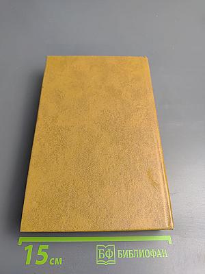 Повесть о братьях Тургеневых. Осуждение Паганини