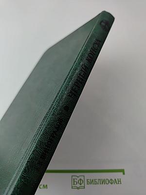 Черный консул