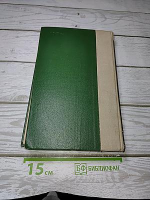 Даниил Галицкий
