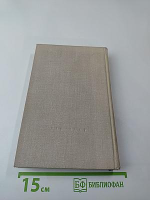 Город-фронт