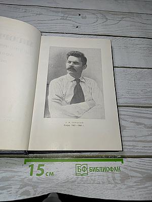 Собрание сочинений. Том 8. Повести
