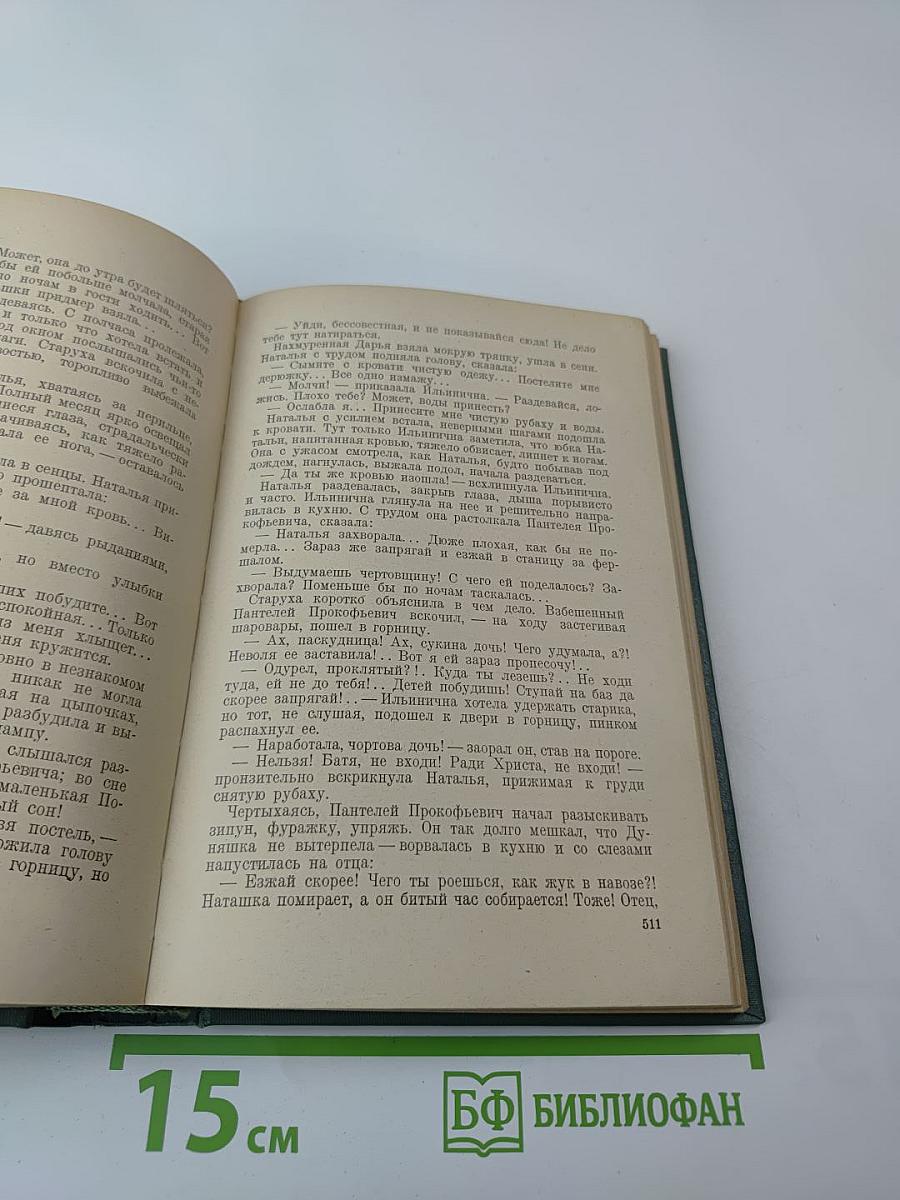 Тихий Дон. Книга 3 и 4