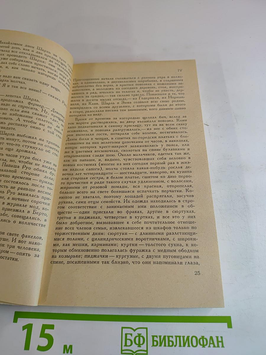 Госпожа Бовари. Новеллы