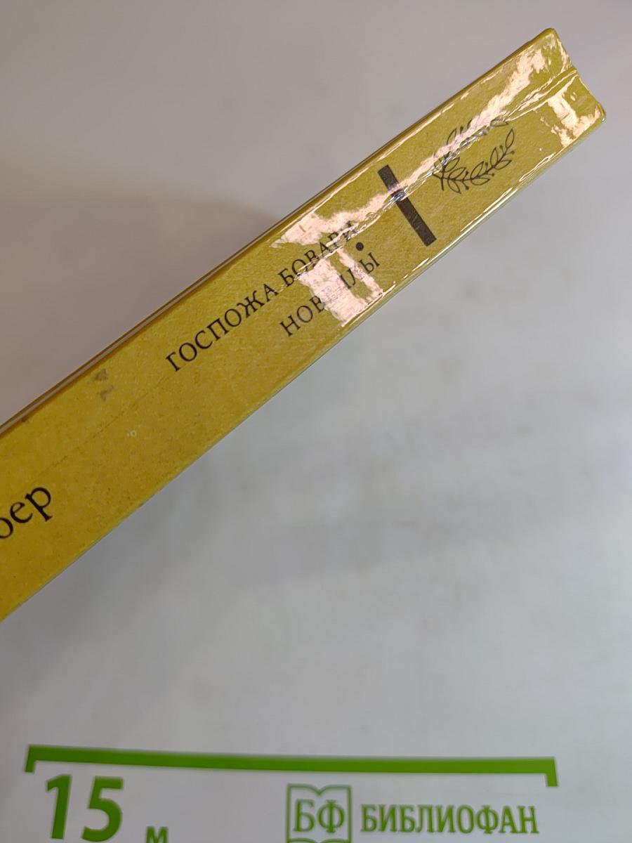 Госпожа Бовари. Новеллы