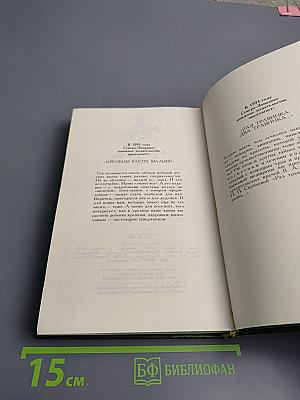 Золотой мальчик: Сказки и истории. Том второй