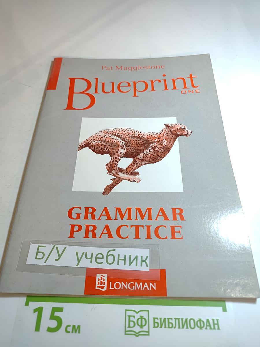Blueprint One Grammar Practice