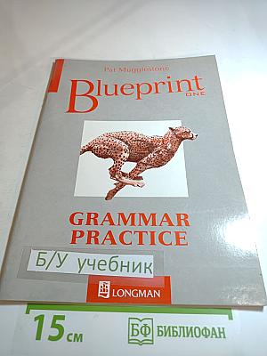 Blueprint One Grammar Practice