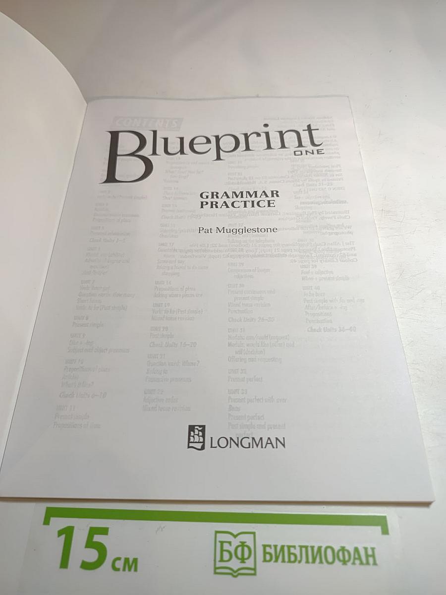 Blueprint One Grammar Practice
