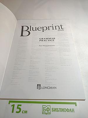 Blueprint One Grammar Practice