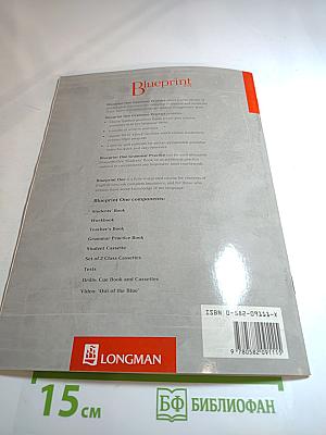 Blueprint One Grammar Practice