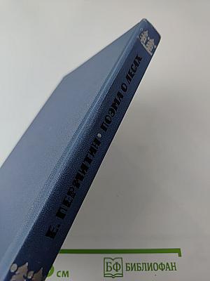 Поэма о лесах