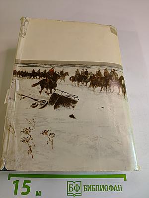 Тихий Дон. Роман в четырех книгах. Книги третья и четвертая