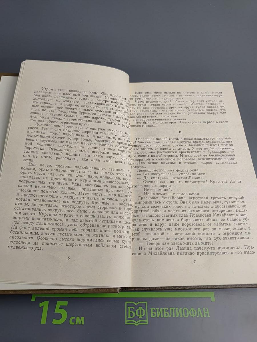 Орлиная степь