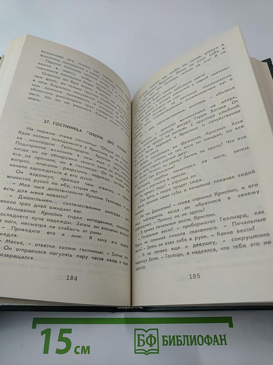 Рыцарь таверны. Чёрный лебедь