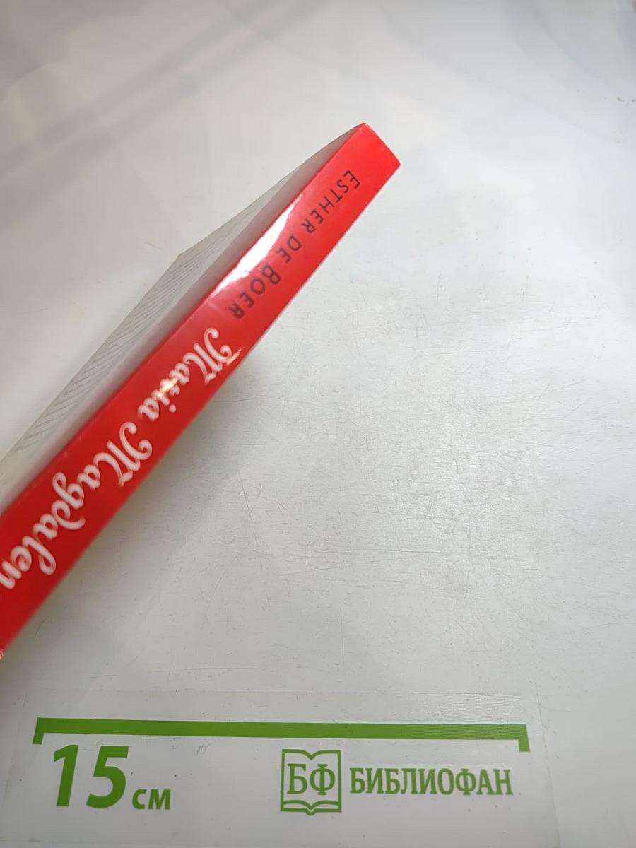 Maria Magdalena. De mythe voorbij