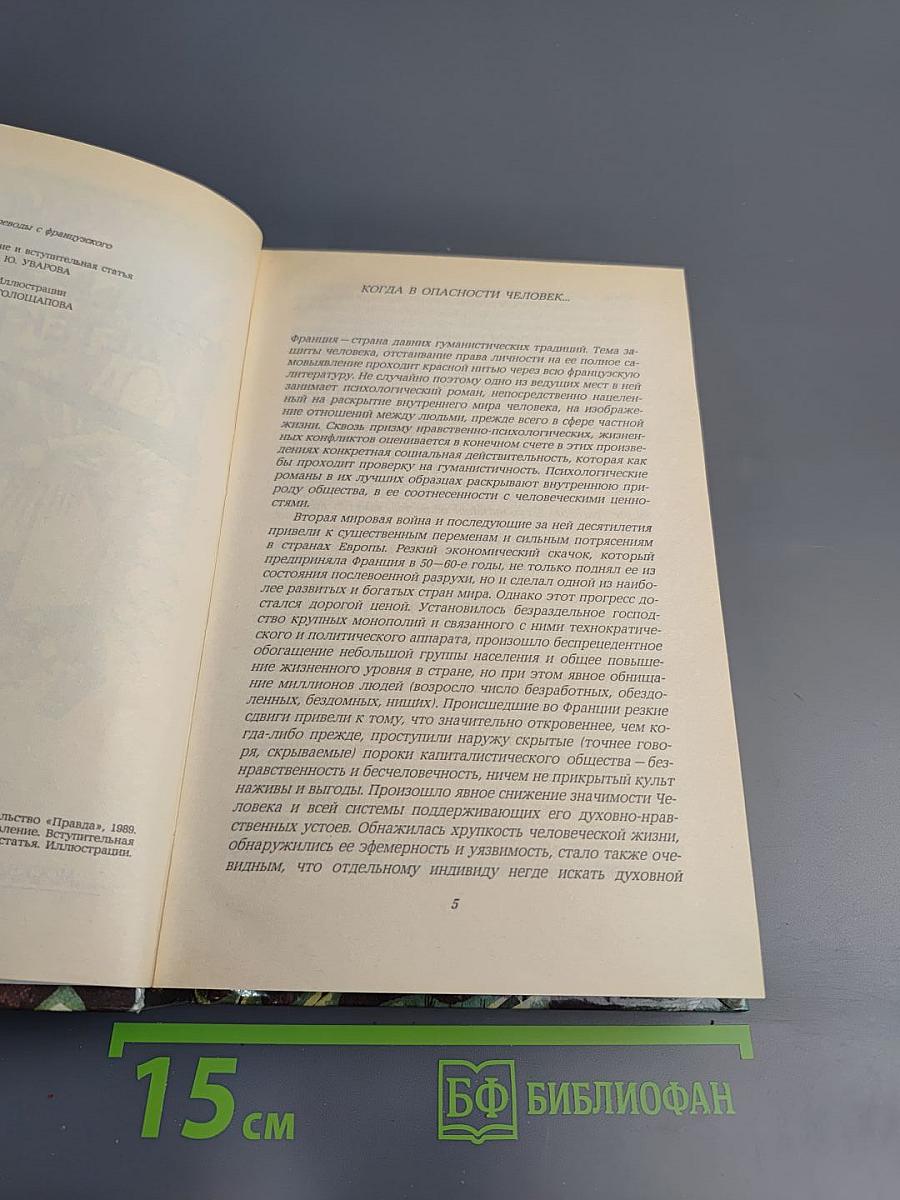 Современный французский детективный роман