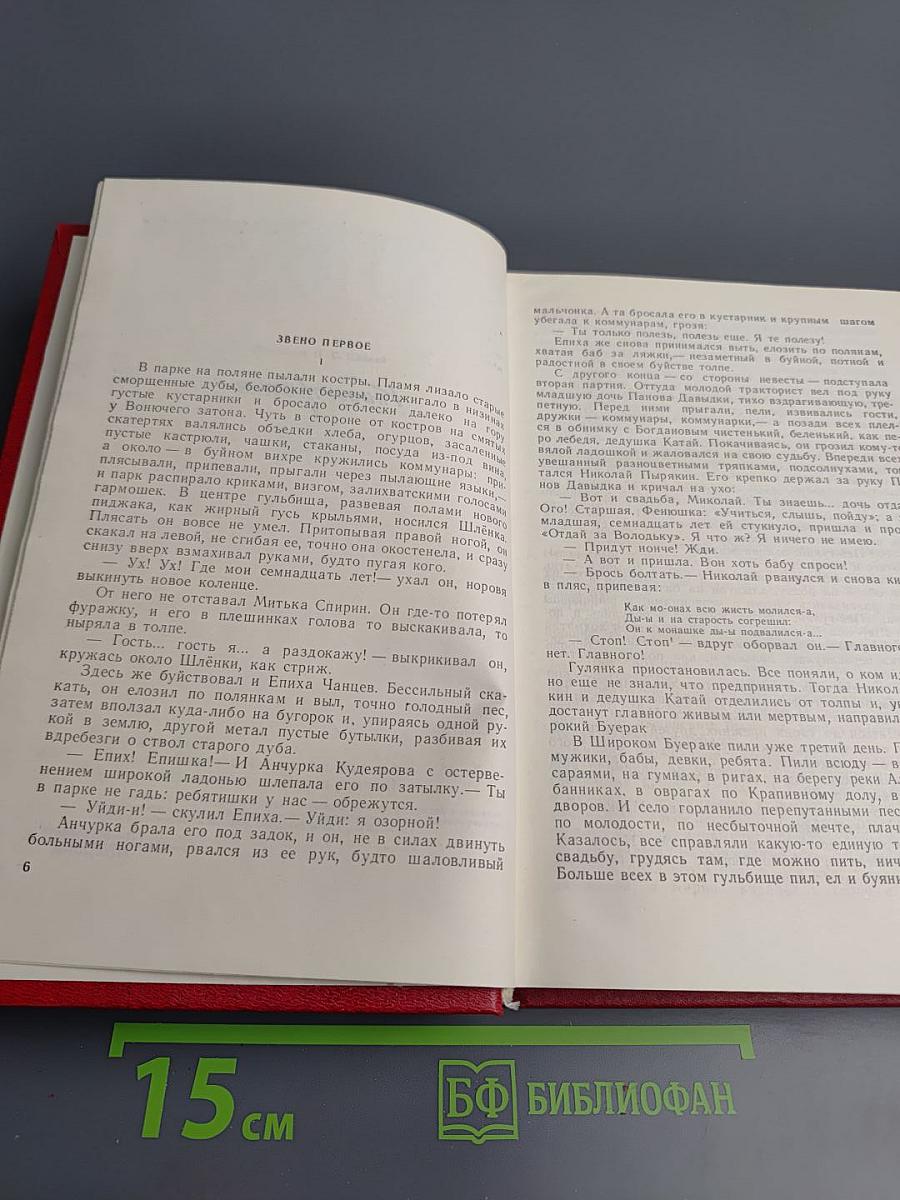 Бруски. Книга третья и четвертая