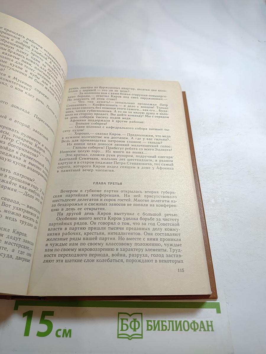 Грозный год - 1919-й. Огни в бухте