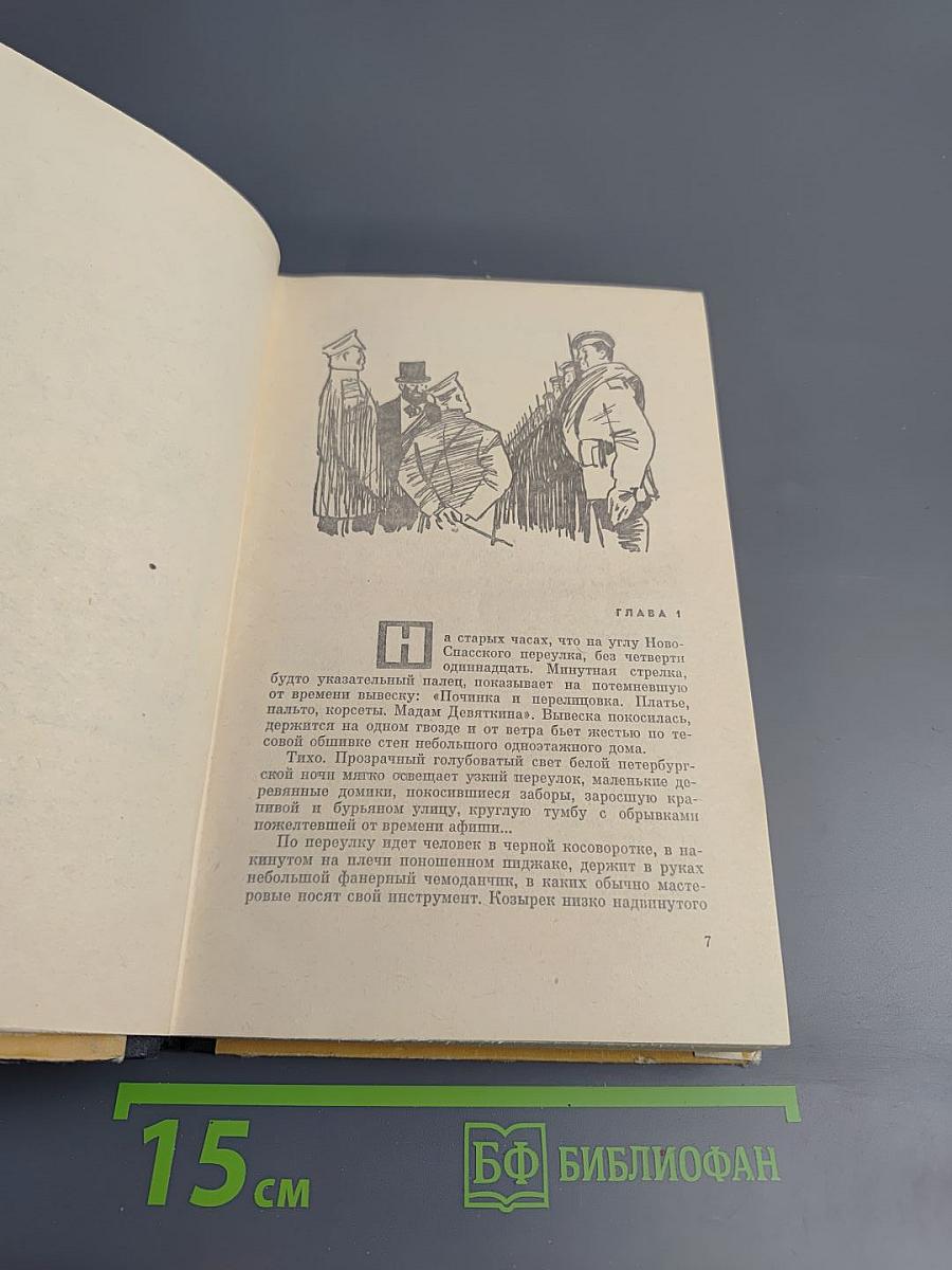 Семья Звонаревых. Книга вторая