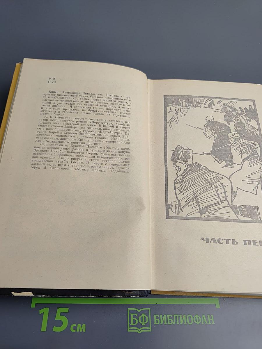 Семья Звонаревых. Книга вторая