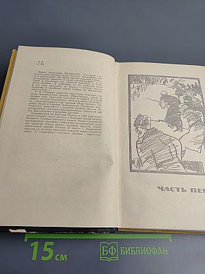 Семья Звонаревых. Книга вторая