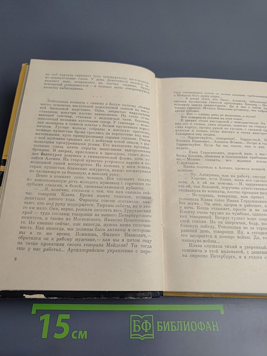 Семья Звонаревых. Книга вторая