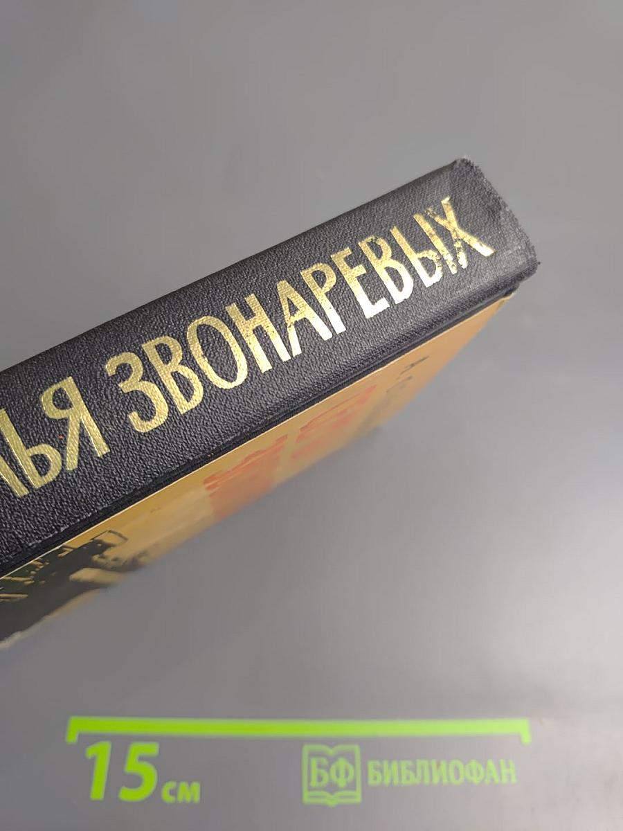 Семья Звонаревых. Книга вторая