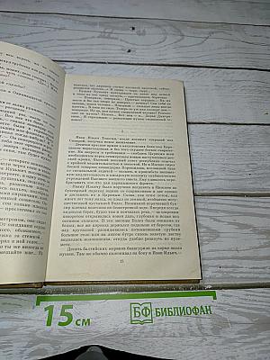 Хождение по мукам. Хмурое утро