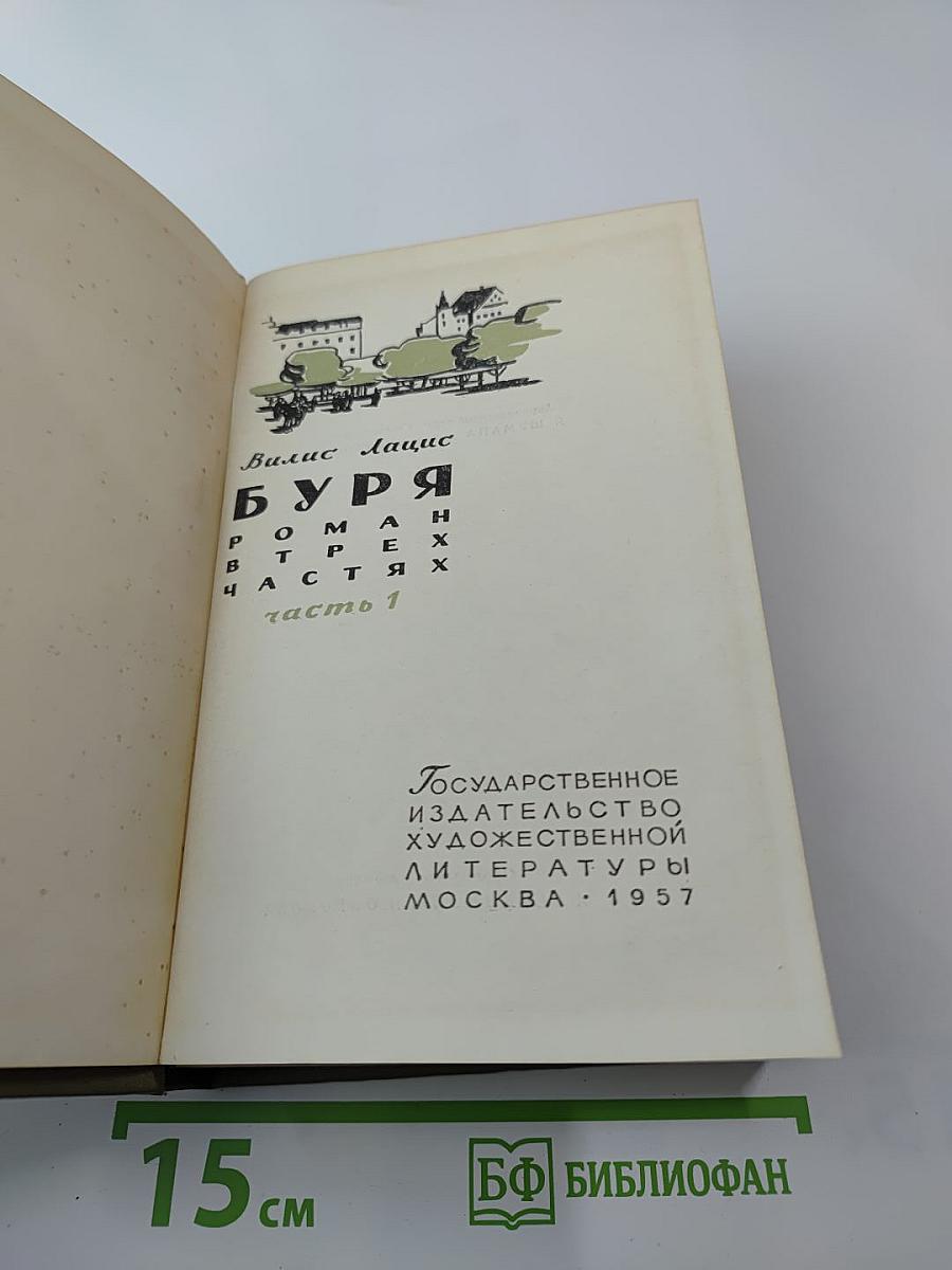 Буря. Роман в трех частях. Часть 1