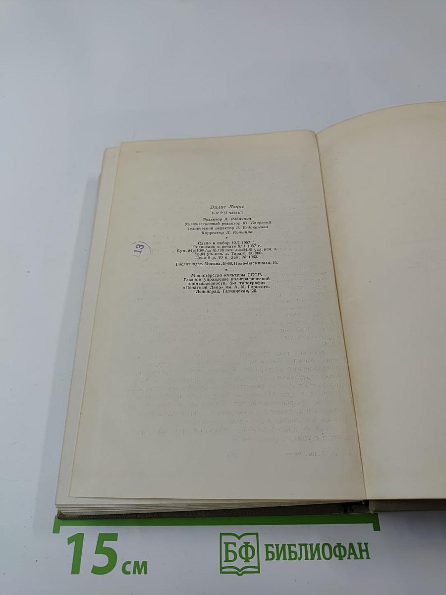 Буря. Роман в трех частях. Часть 1