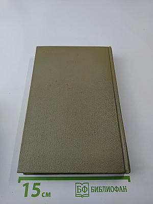 Буря. Роман в трех частях. Часть 1