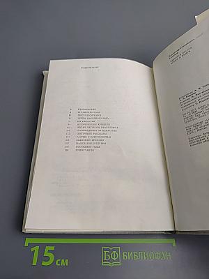 Николай Лесков. Время и книги