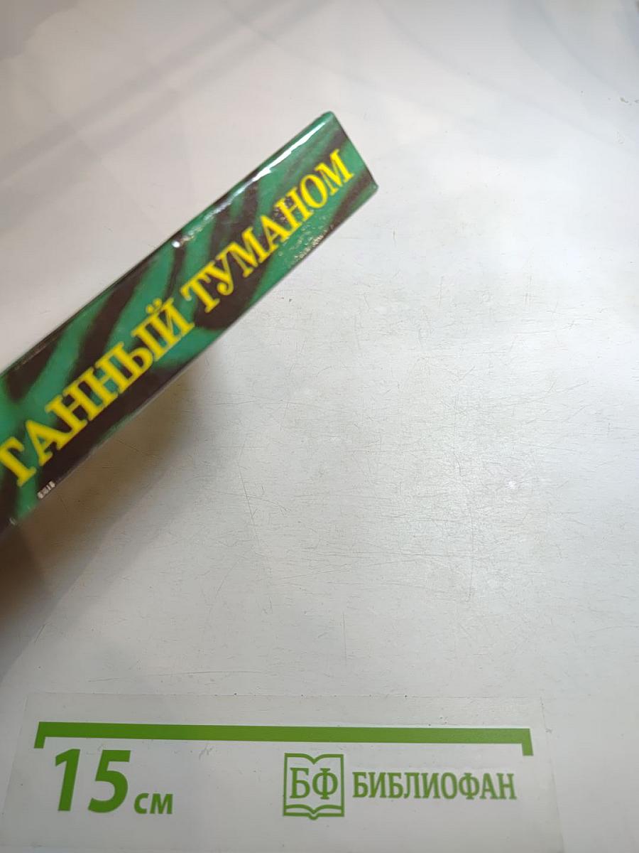 Окутанный туманом