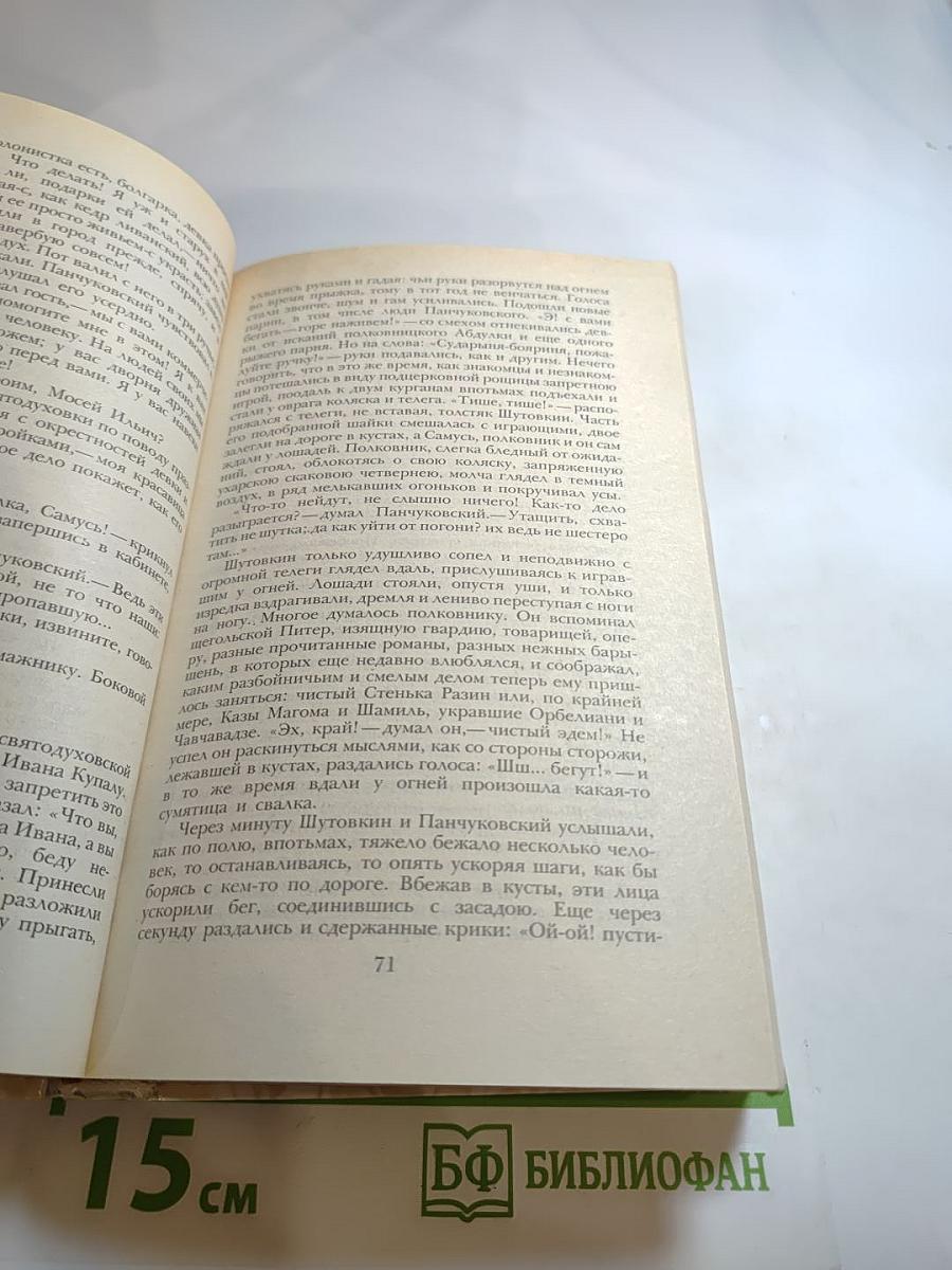 Беглые в Новороссии. Воля. Княжна Тараканова