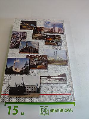 Активная зона: Повесть об атомном институте